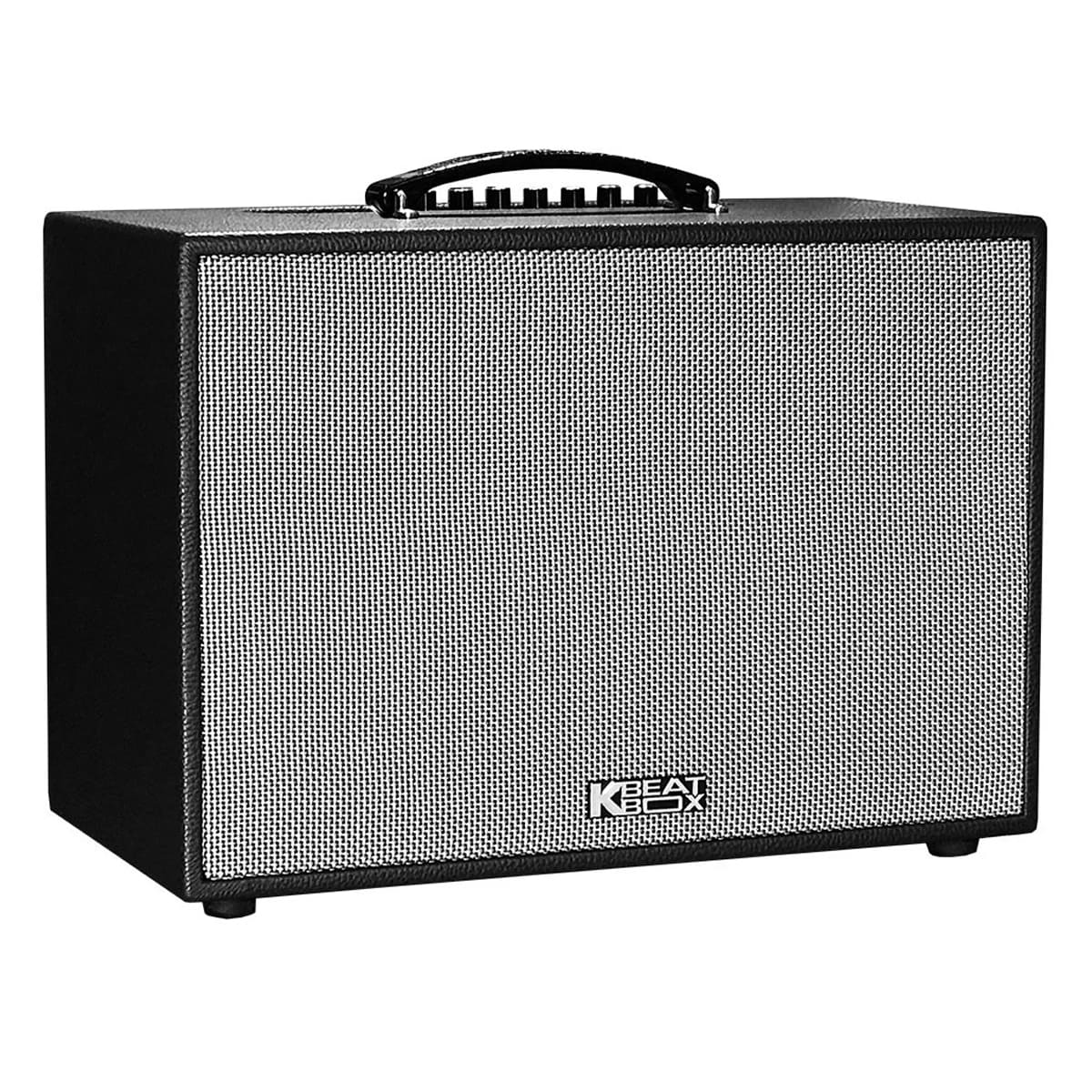 Loa kéo Acnos CS250PU (Bass 25cm, 50W, Kèm 2 Micro) - Hình 1
