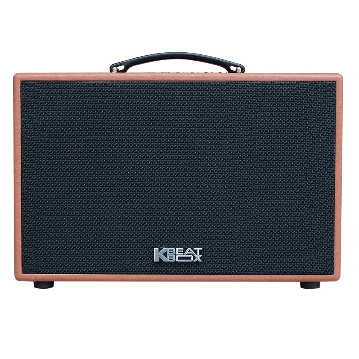 Loa kéo Acnos CS250PU