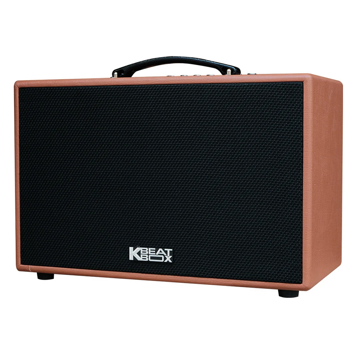 Loa kéo Acnos CS250PU