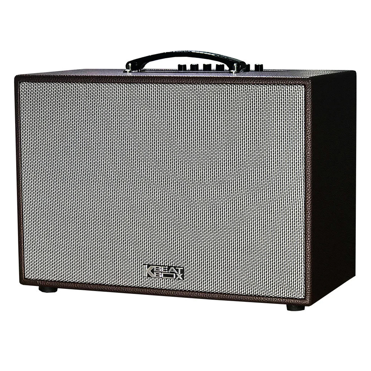 Loa kéo Acnos CS250PU