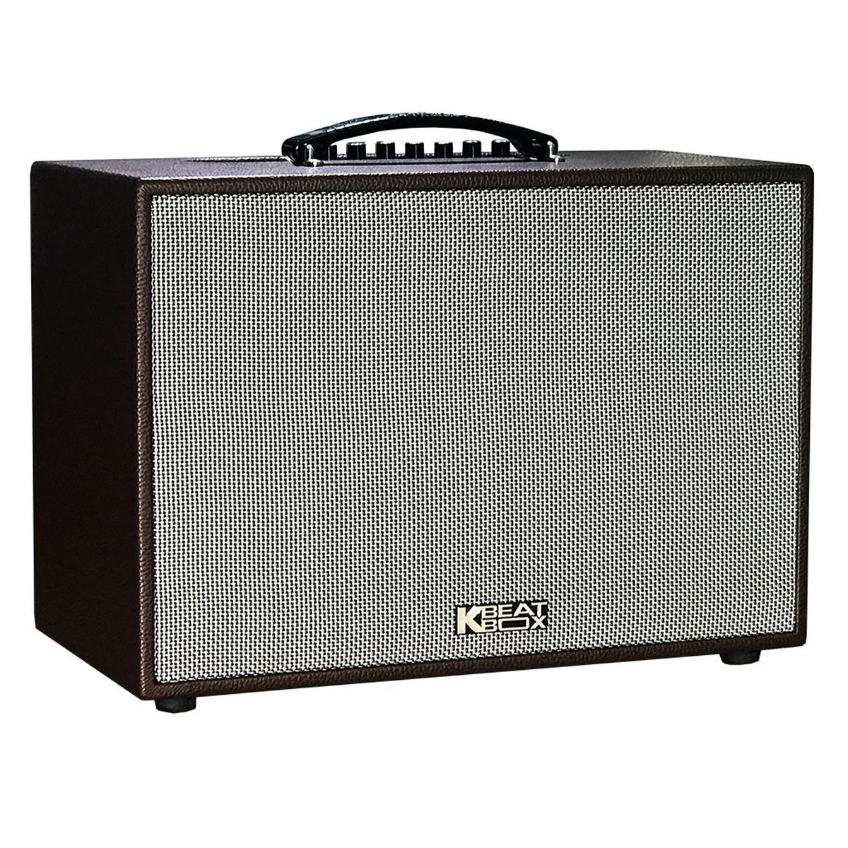 Loa kéo Acnos CS250PU