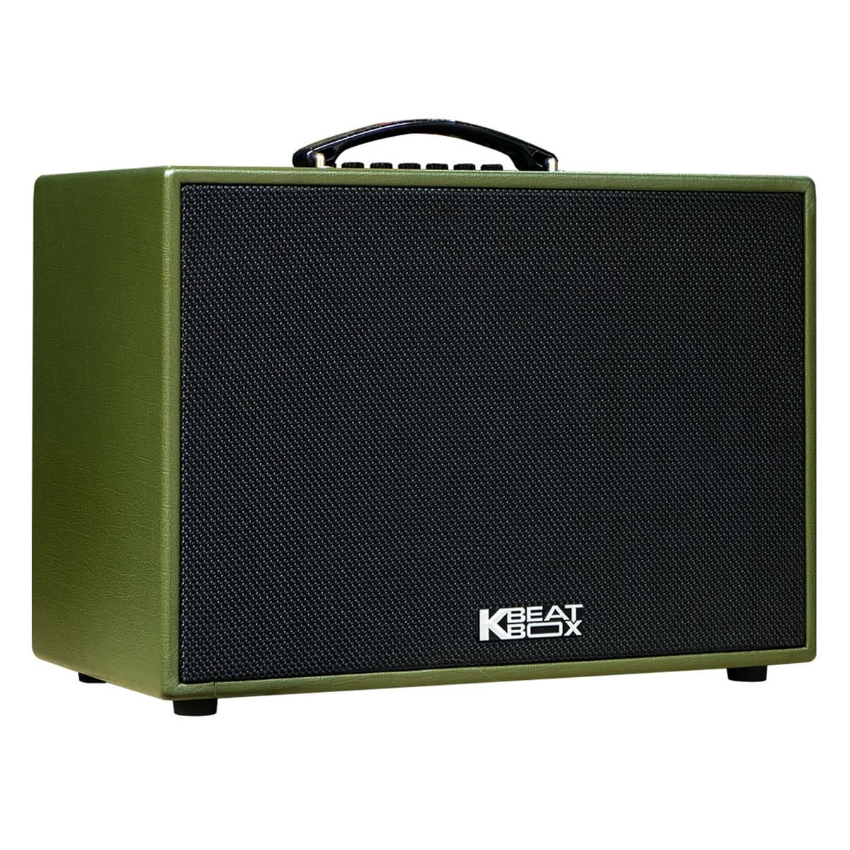 Loa kéo Acnos CS250PU