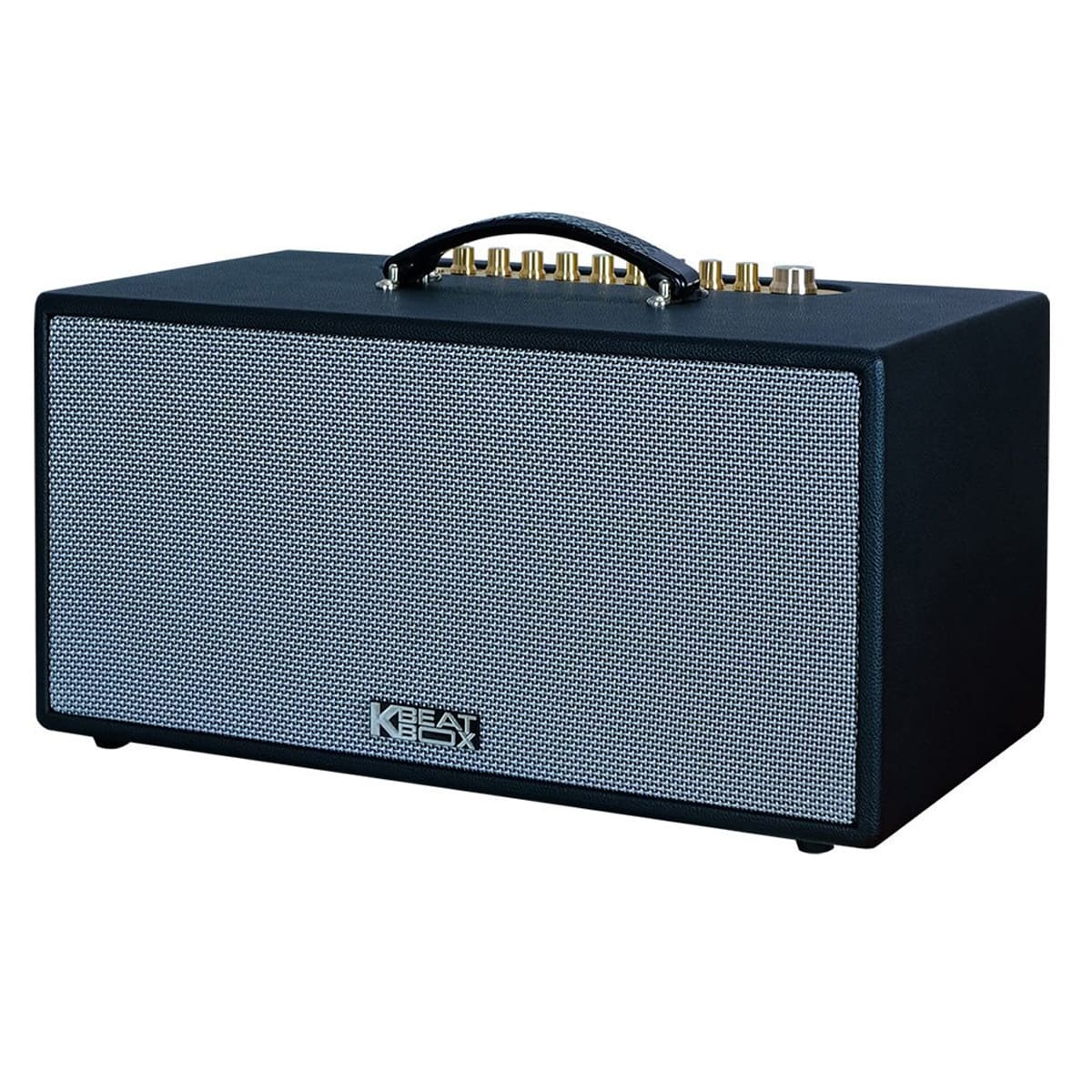 Loa xách tay Acnos CS445D