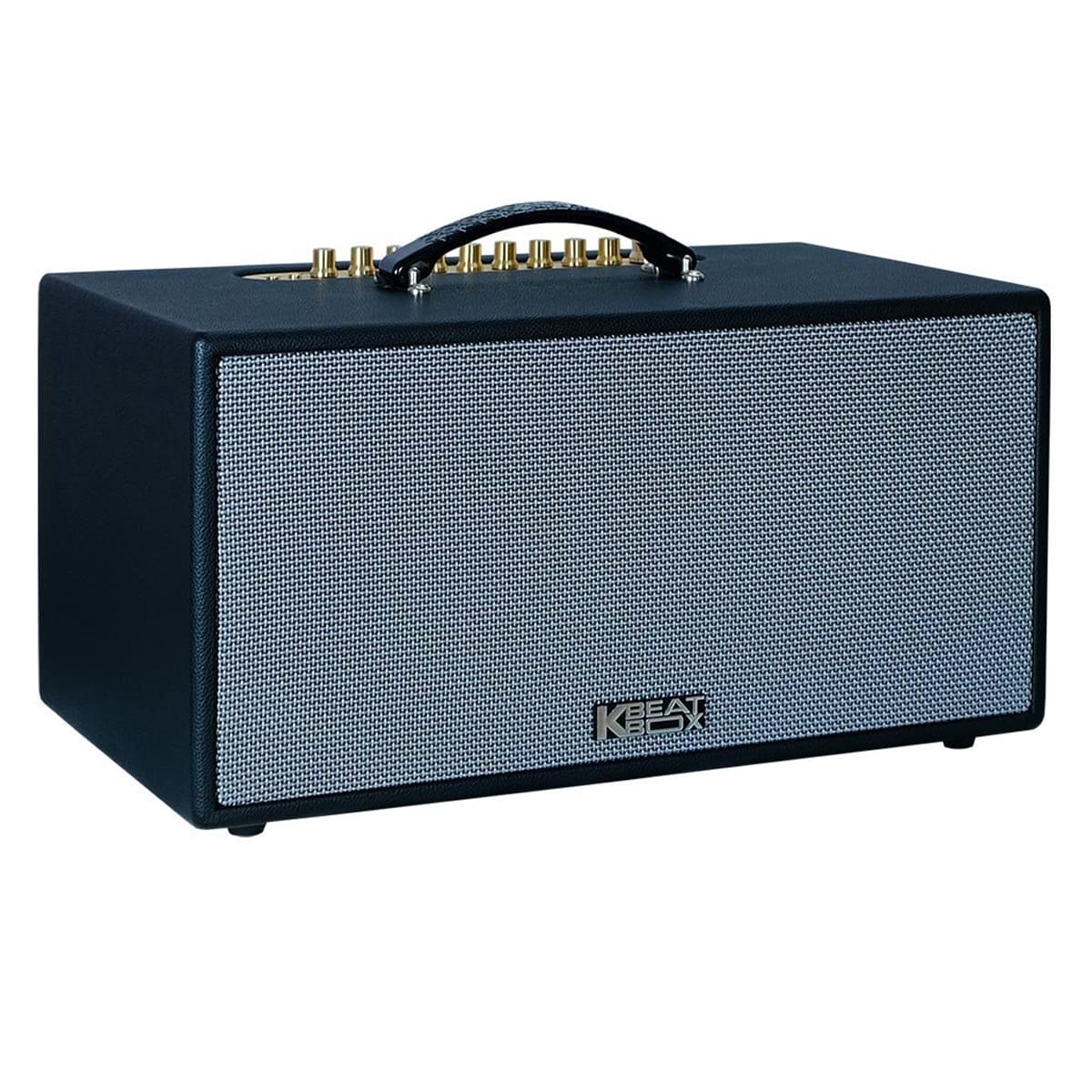 Loa xách tay Acnos CS445D