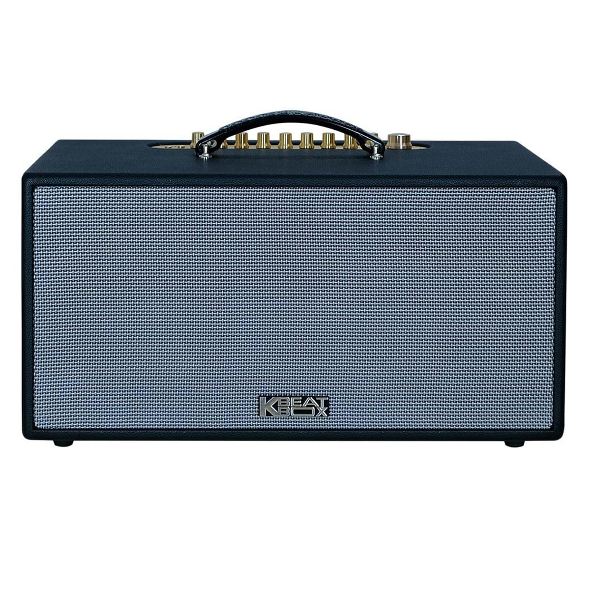 Loa xách tay Acnos CS445D