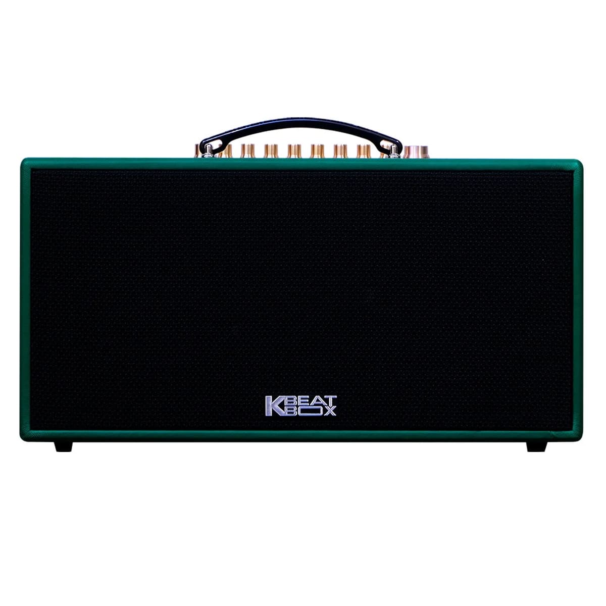 Loa xách tay Acnos CS445D