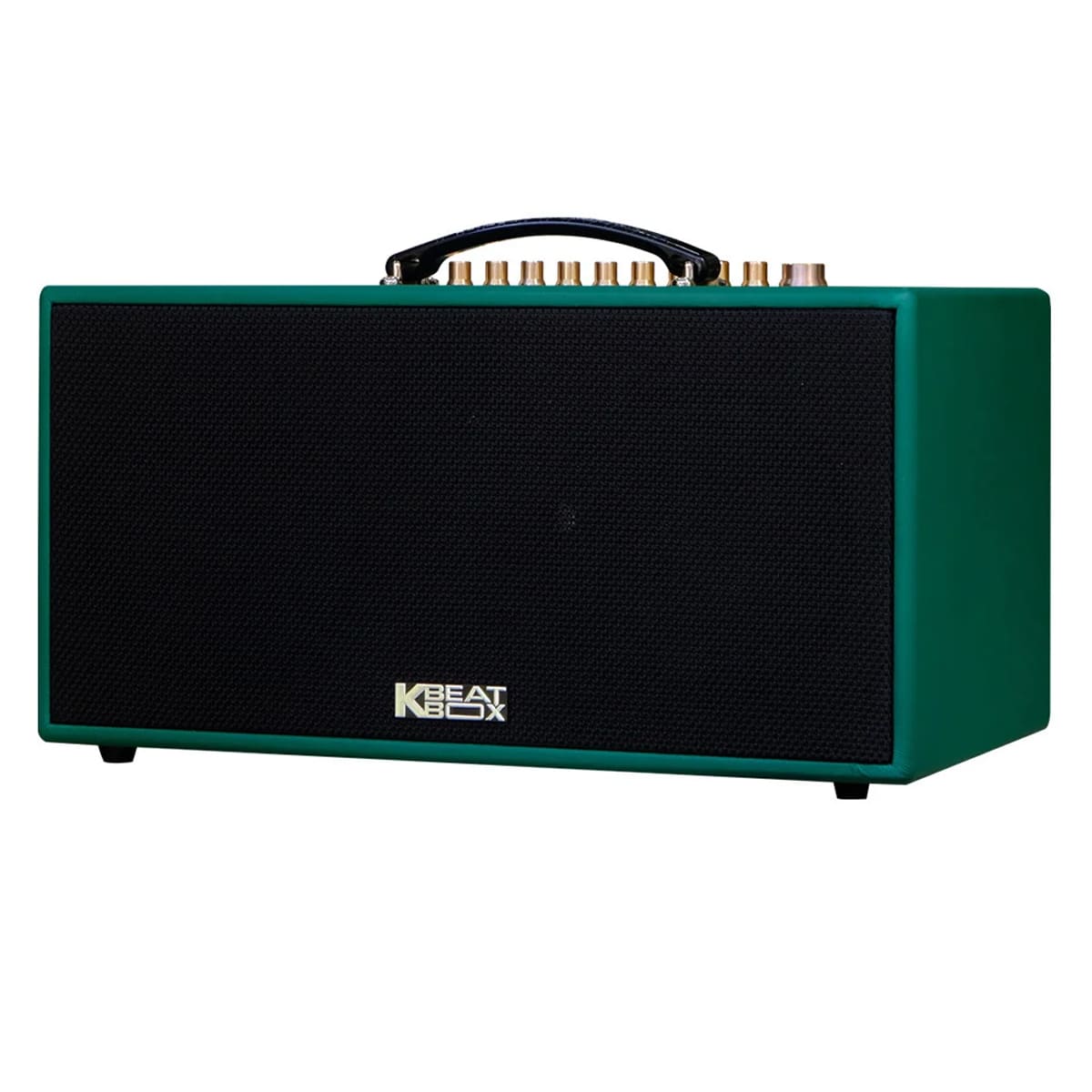 Loa xách tay Acnos CS445D