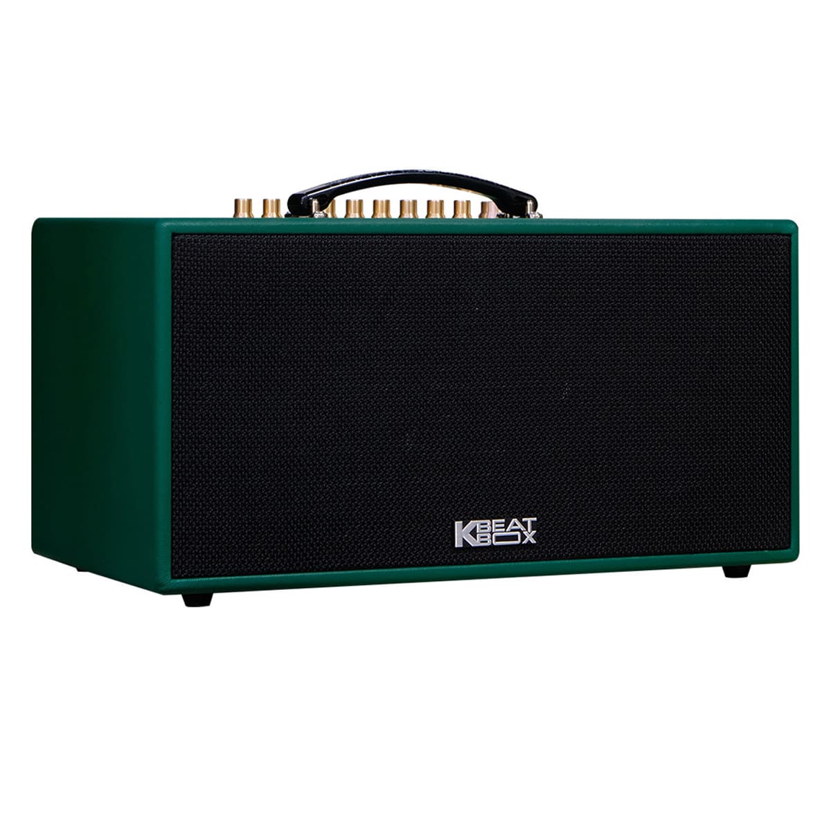 Loa xách tay Acnos CS445D