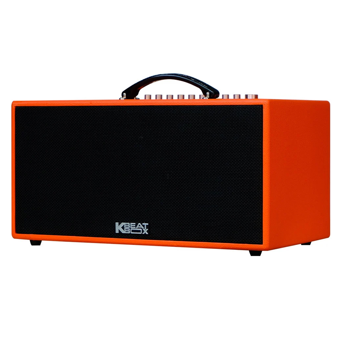 Loa Xách Tay Acnos CS447