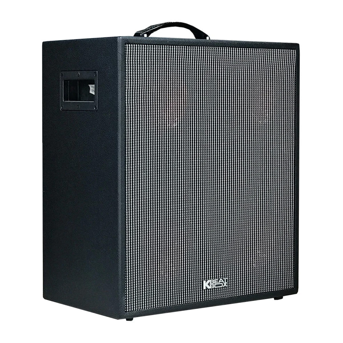 Loa Karaoke Di Động Acnos CS550