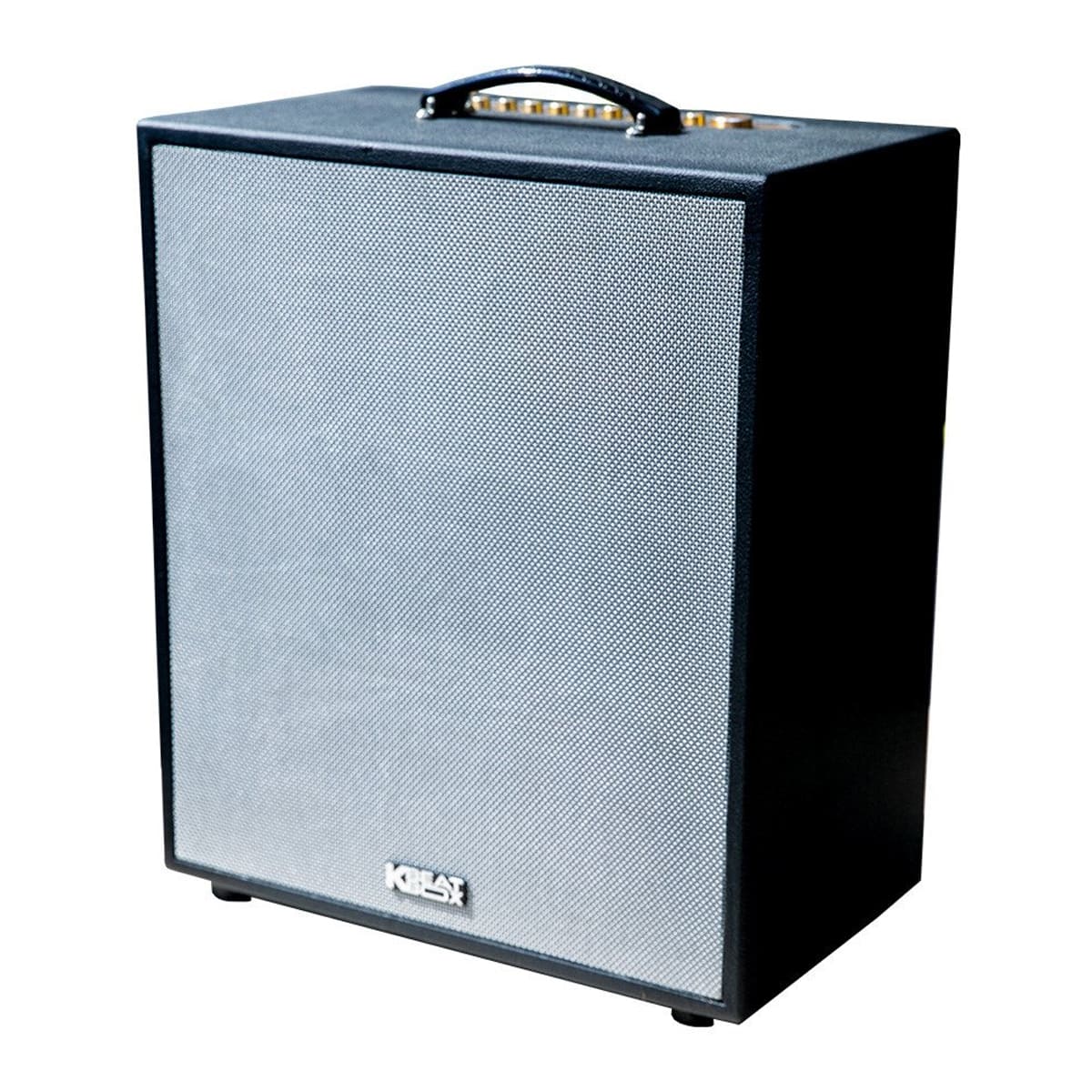 Loa Karaoke Di Động Acnos CS550