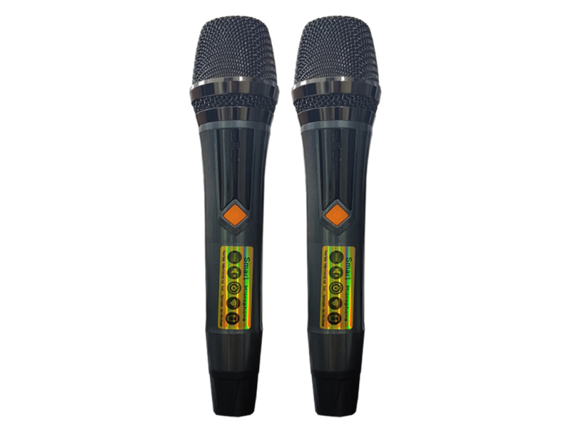 Loa k&eacute;o BEST 6800S