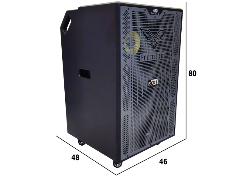 Loa k&eacute;o BEST S40