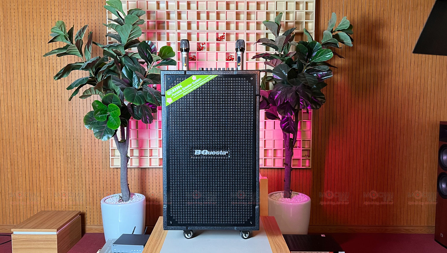 Loa kéo Karaoke Nhật BIK BMS 5015