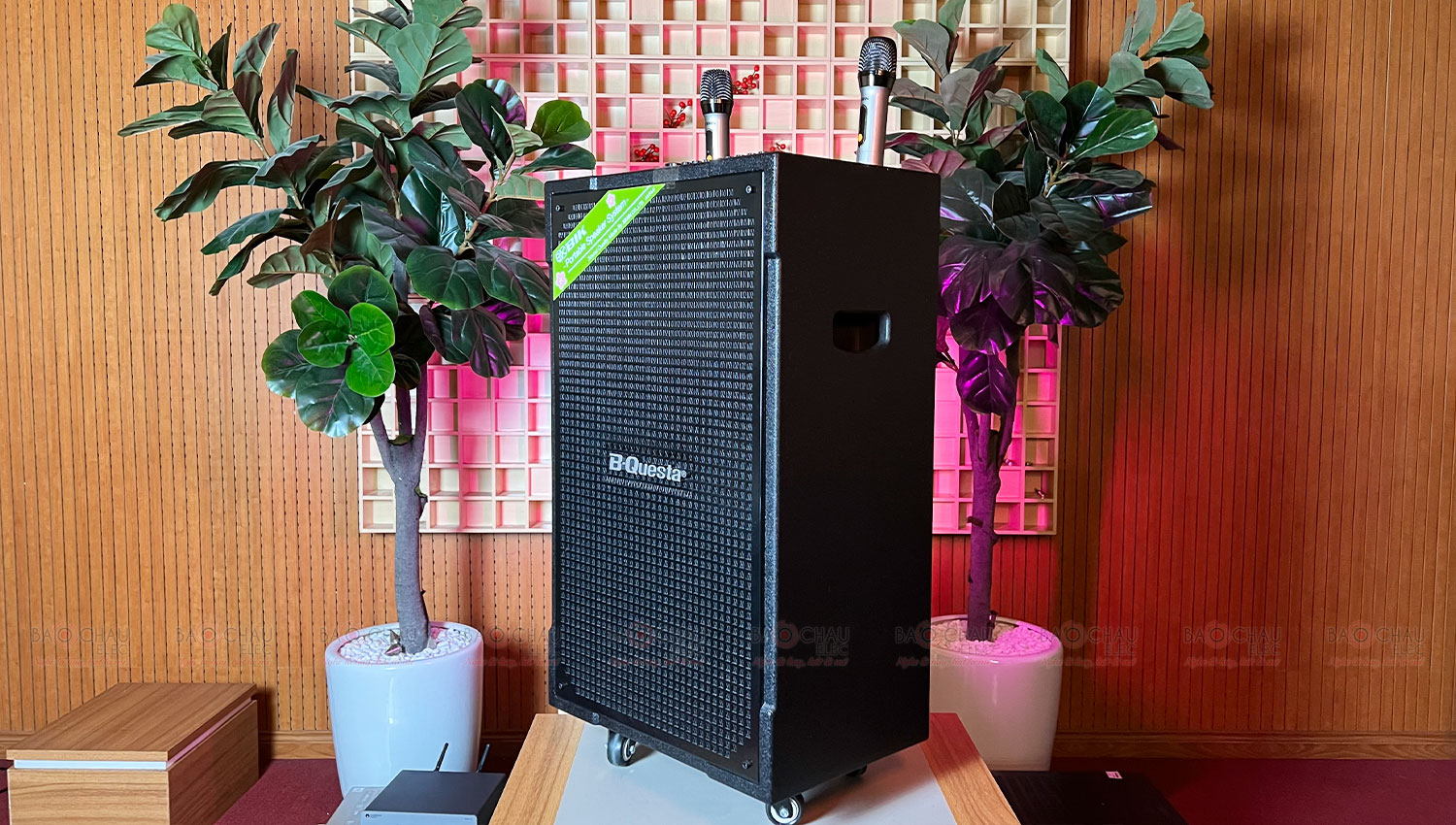 Loa kéo Karaoke Nhật BIK BMS 5015