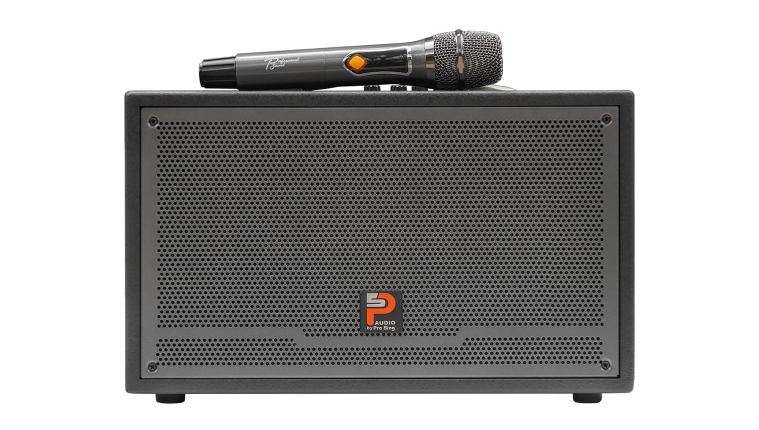 Loa kéo Prosing W8 Silver-E (Bass 20cm, 100W, Kèm micro, Pin 3-6h) - Hình 2