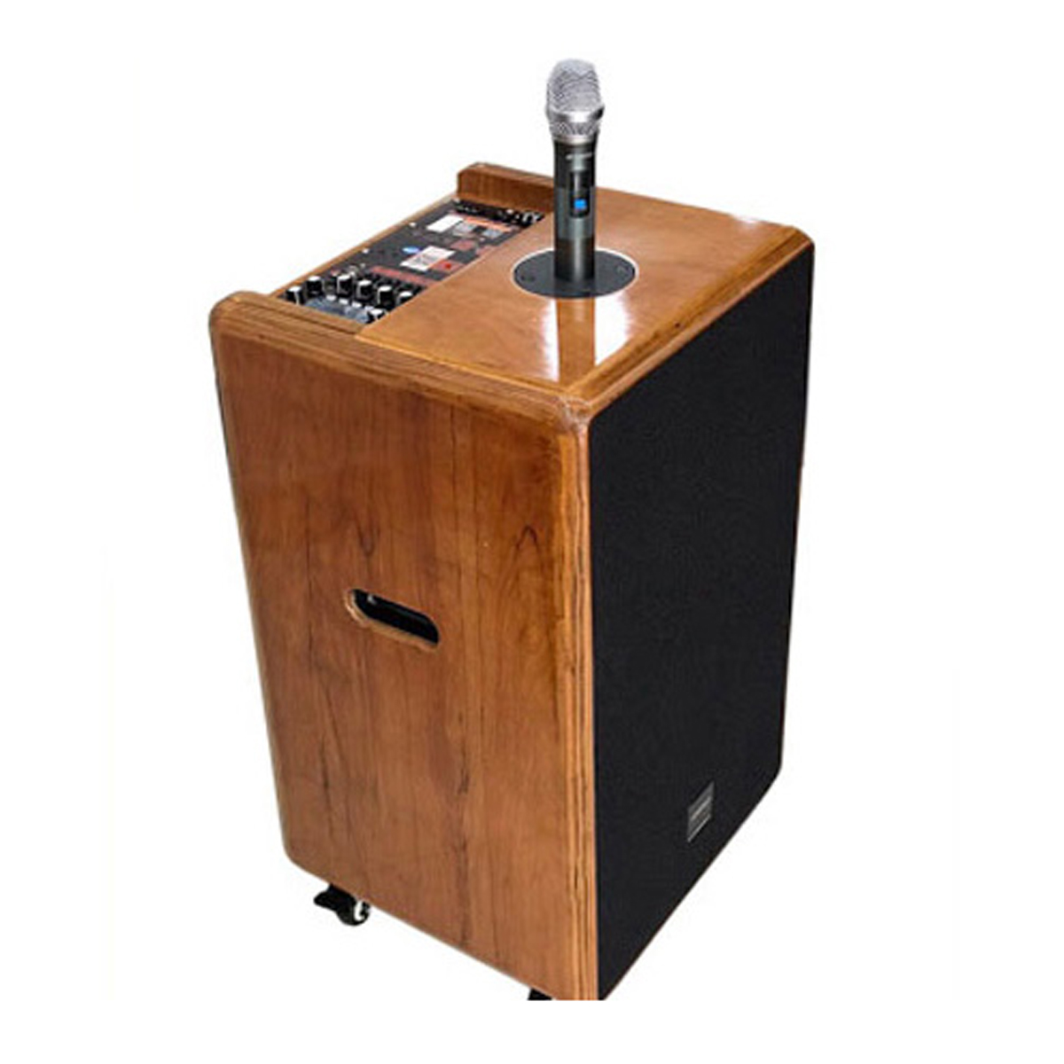 Loa kéo Sansui SG10-15