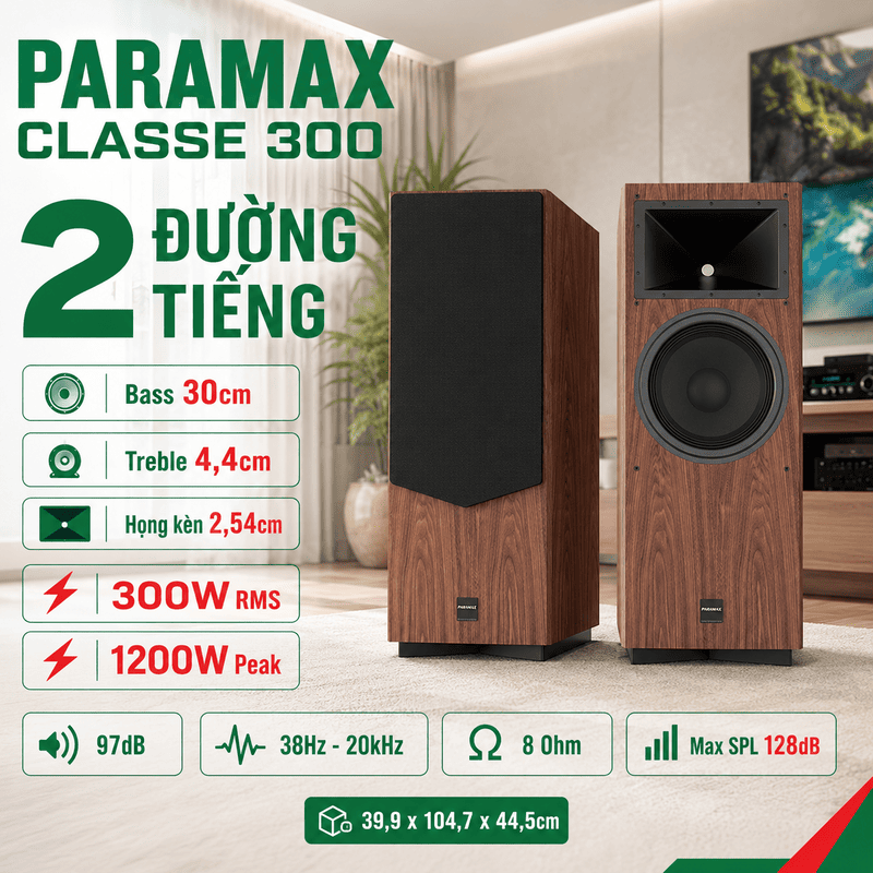 Loa Paramax Classe 300