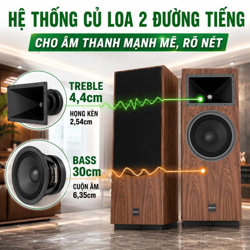 Loa Paramax Classe 300