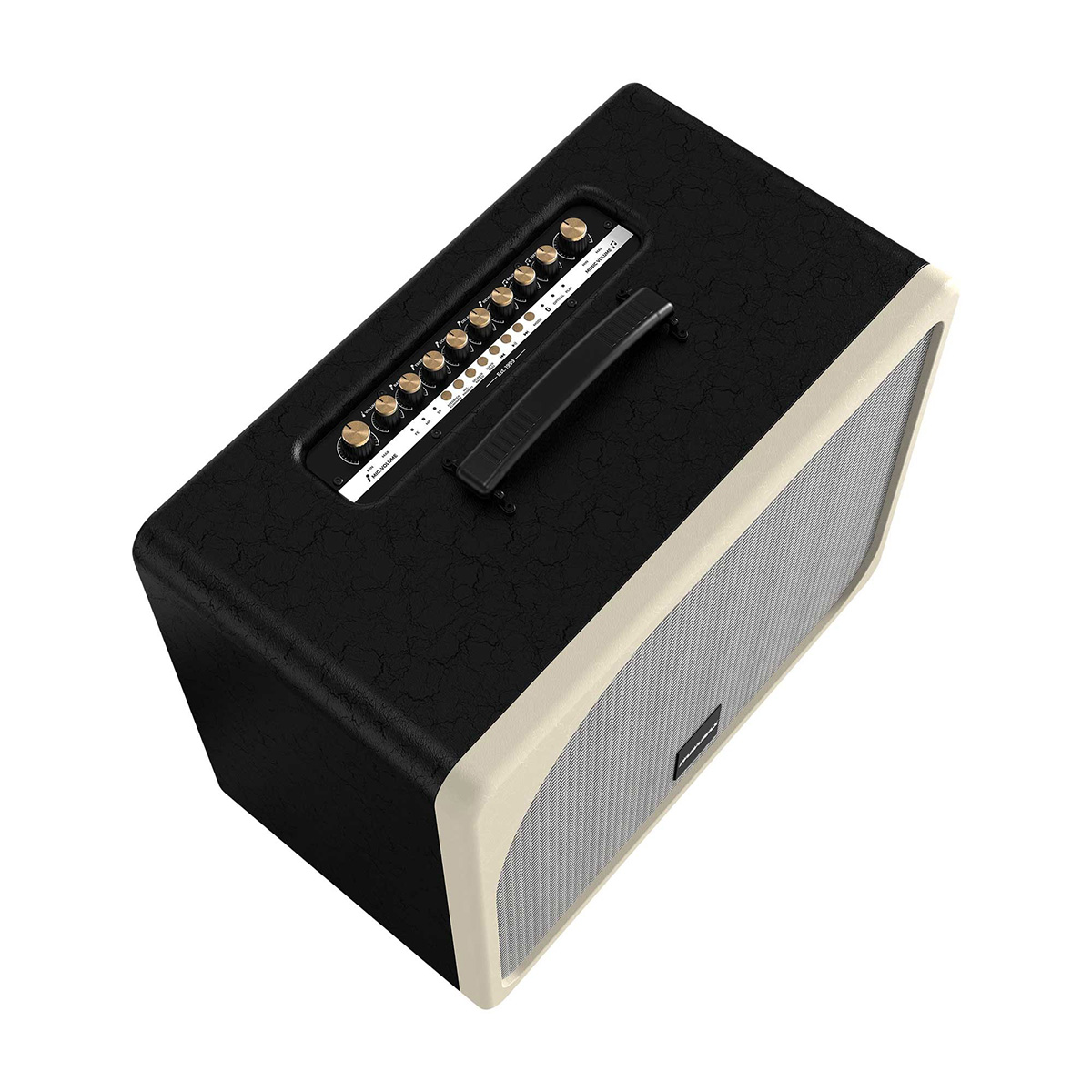 Loa Paramax Evox (2 bass 20cm, 300W, Kèm 2 micro) - Hình 2