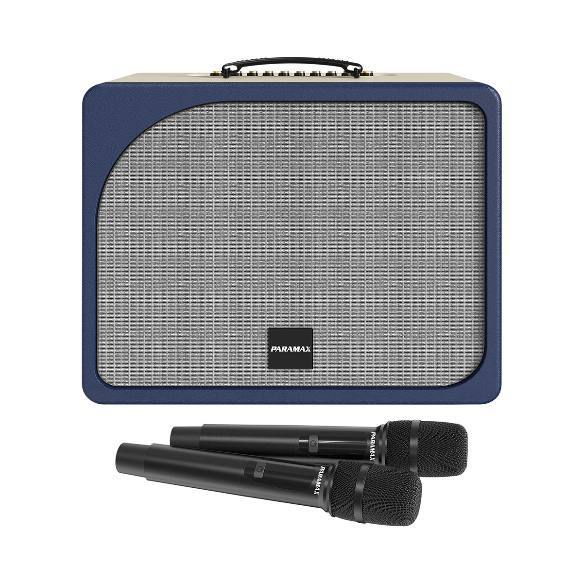 Loa Paramax Evox (2 bass 20cm, 300W, Kèm 2 micro) - Hình 4