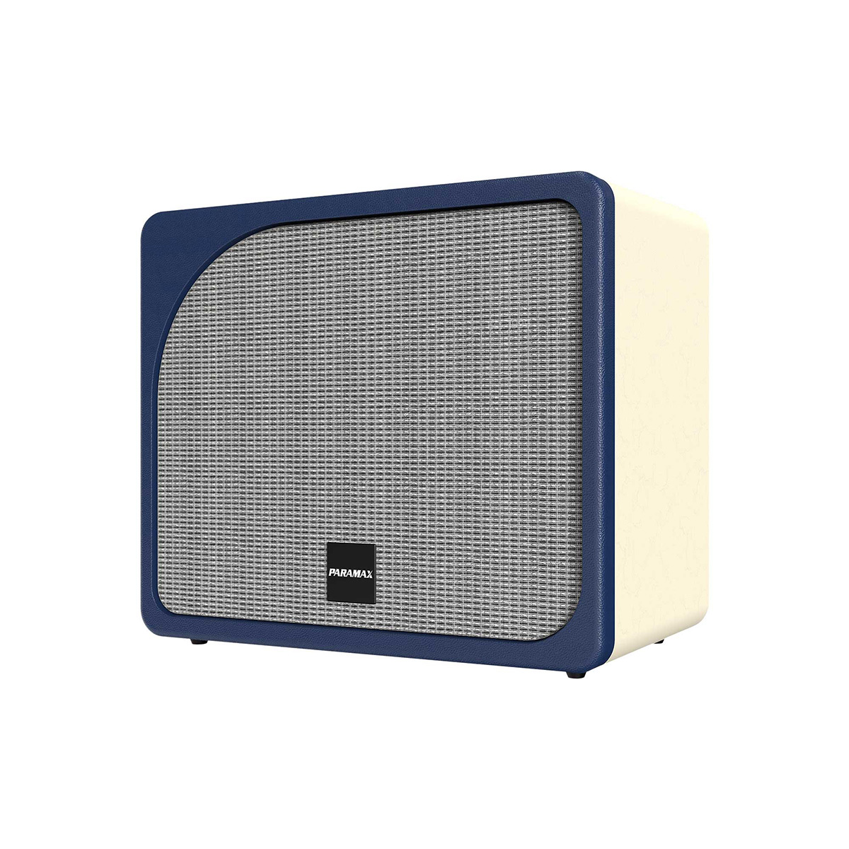 Loa Paramax Evox (2 bass 20cm, 300W, Kèm 2 micro) - Hình 4