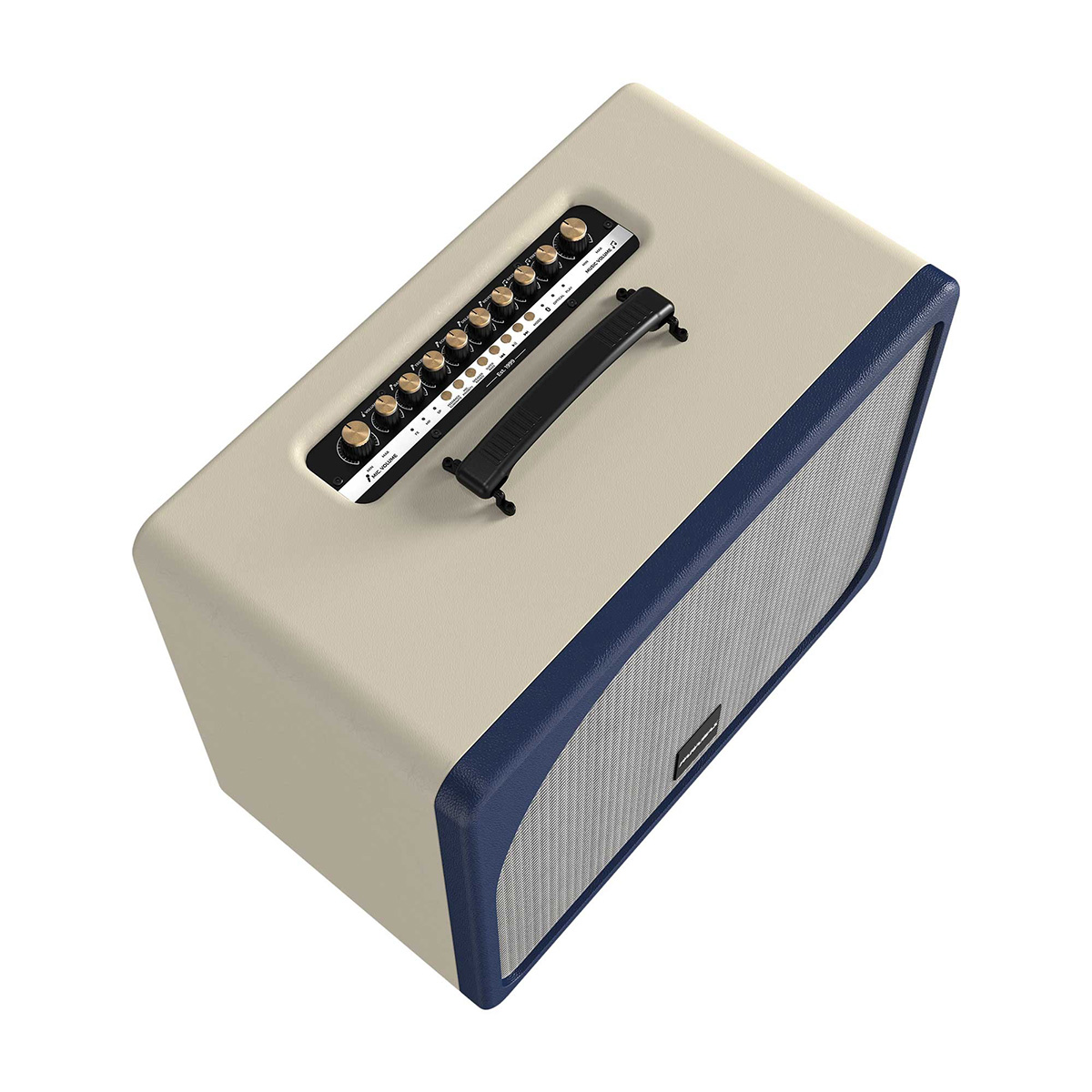 Loa Paramax Evox (2 bass 20cm, 300W, Kèm 2 micro) - Hình 4