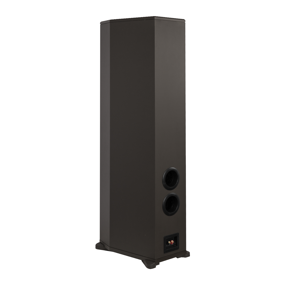 Loa đứng Paramax F1000