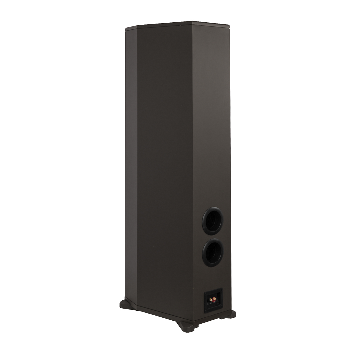 Loa đứng Paramax F2000