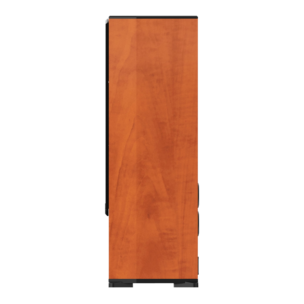 Loa Paramax F-2500 Calvados