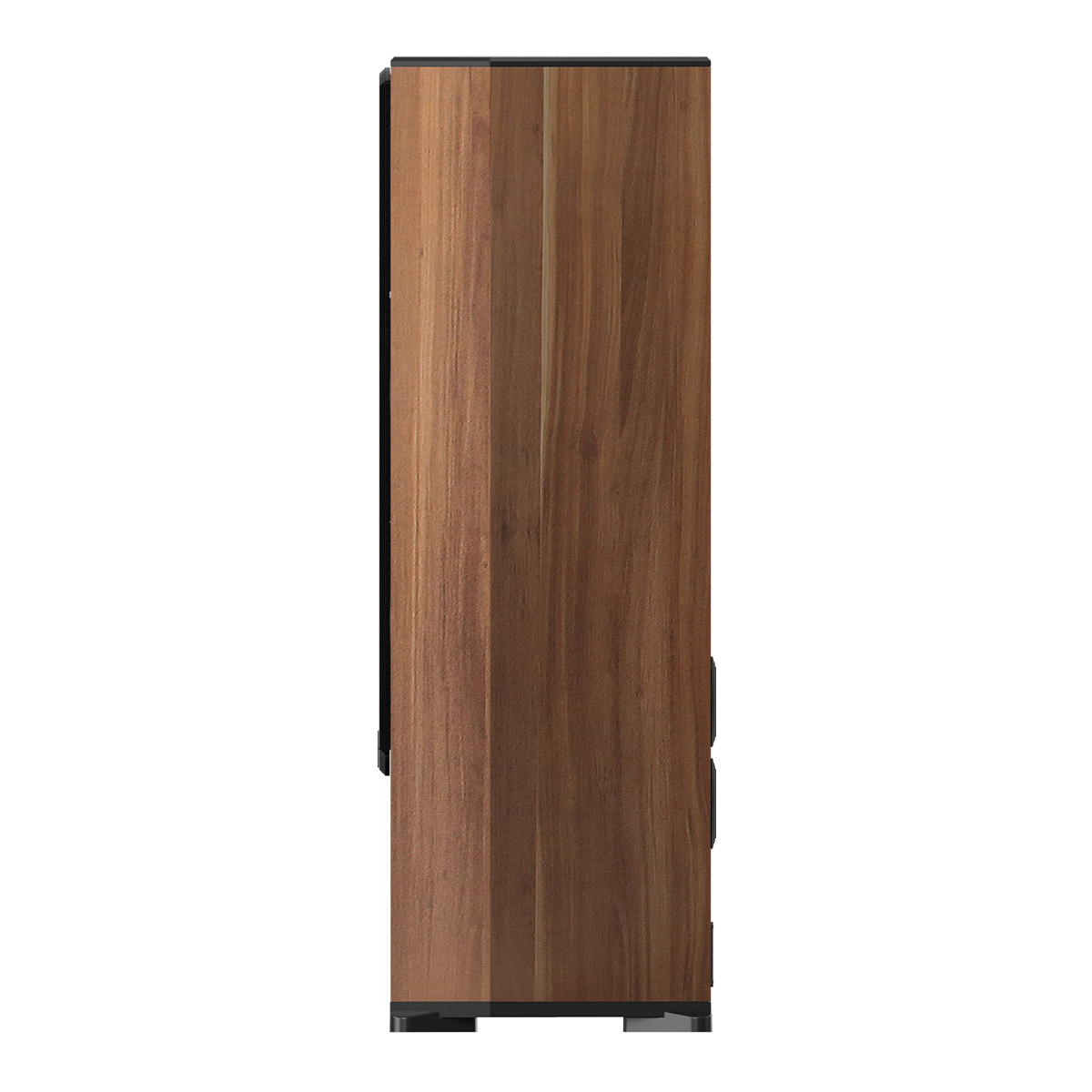 Loa Paramax F-2500 Walnut