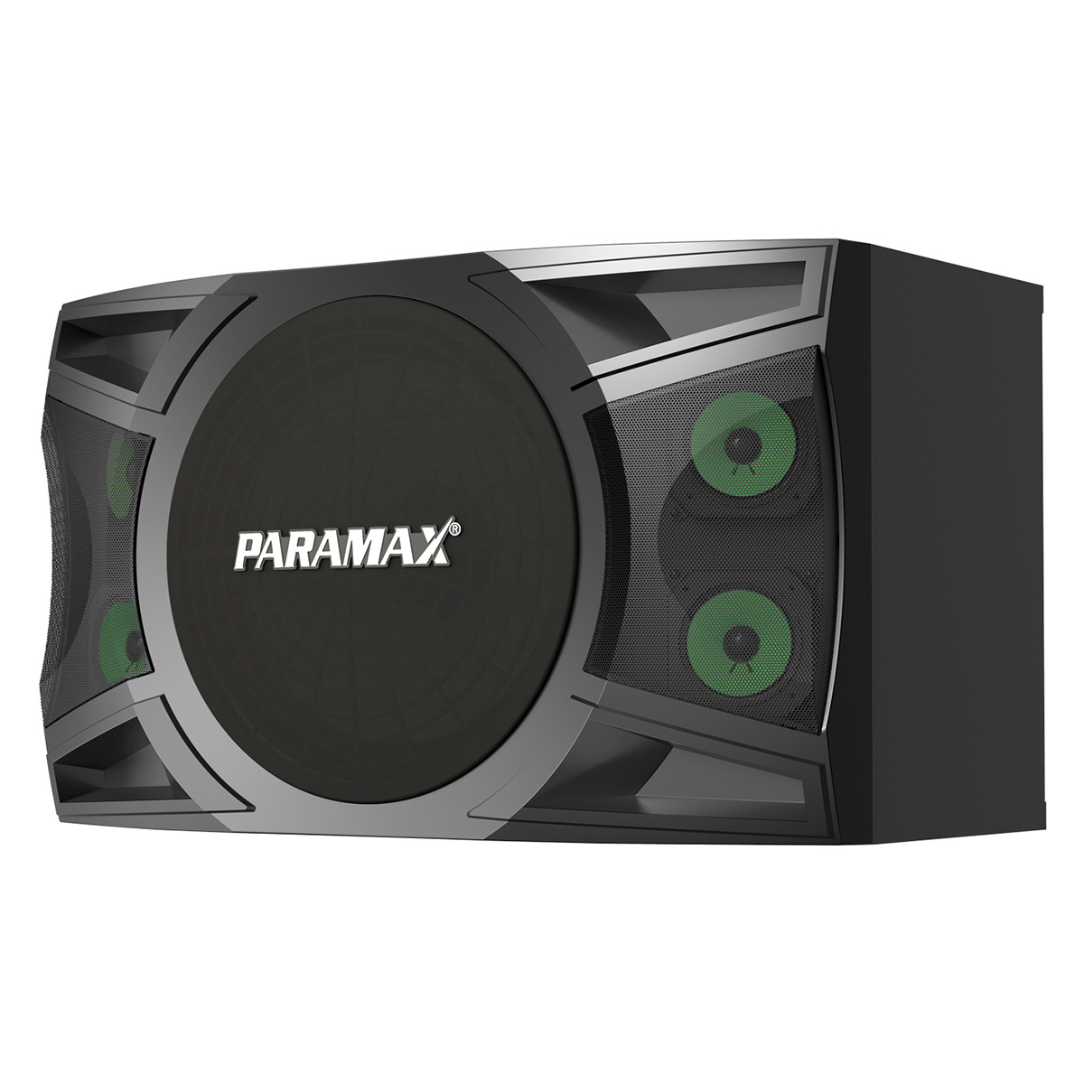 Loa karaoke Paramax P2000 New