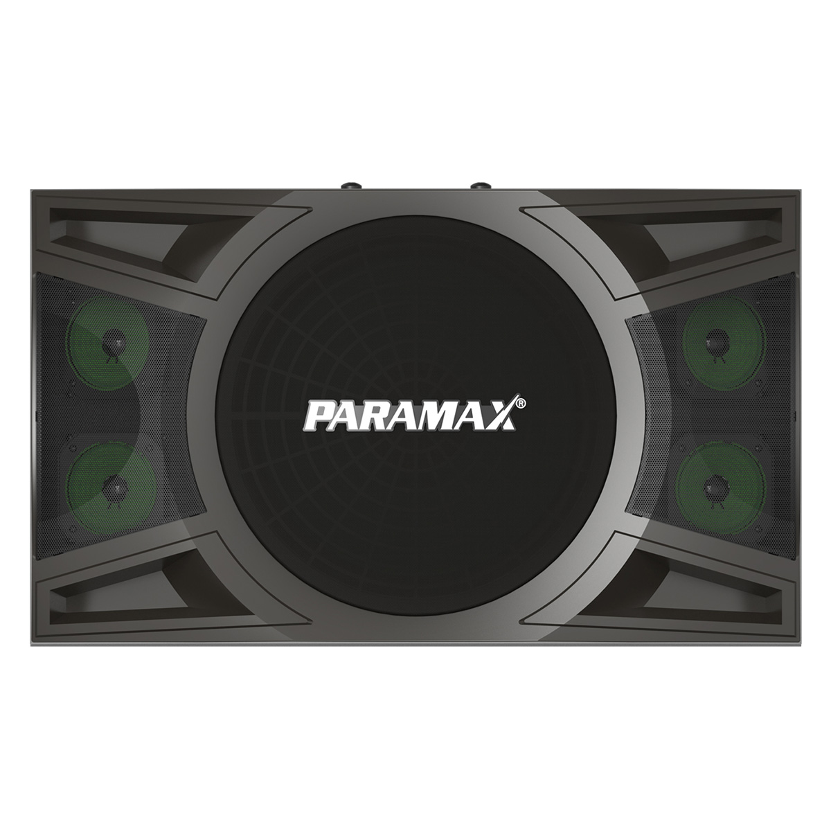 Loa karaoke Paramax P2000 New