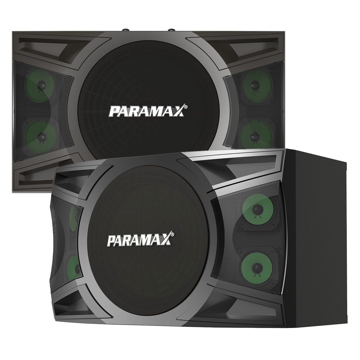 Loa karaoke Paramax P2000 New