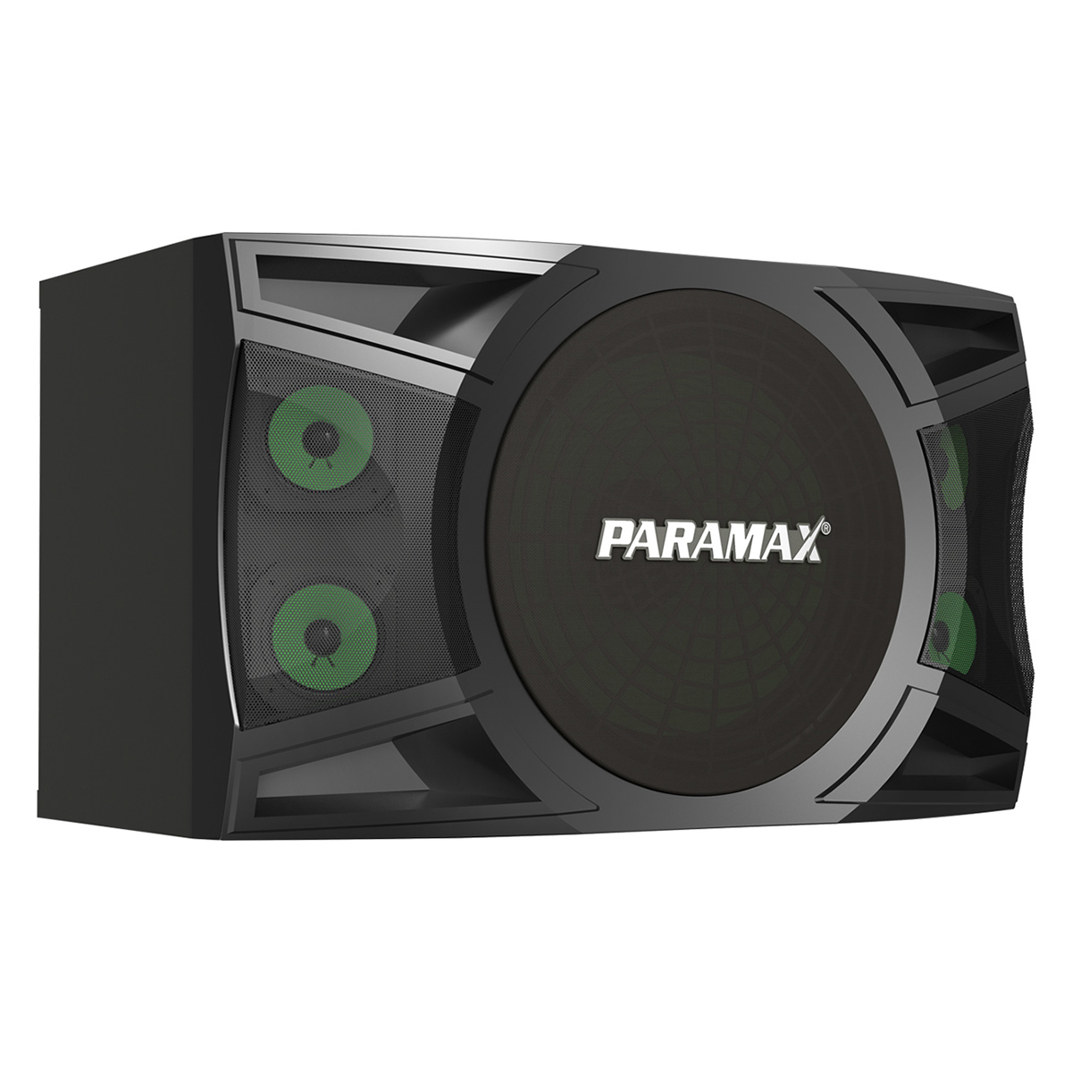 Loa karaoke Paramax P1000 New