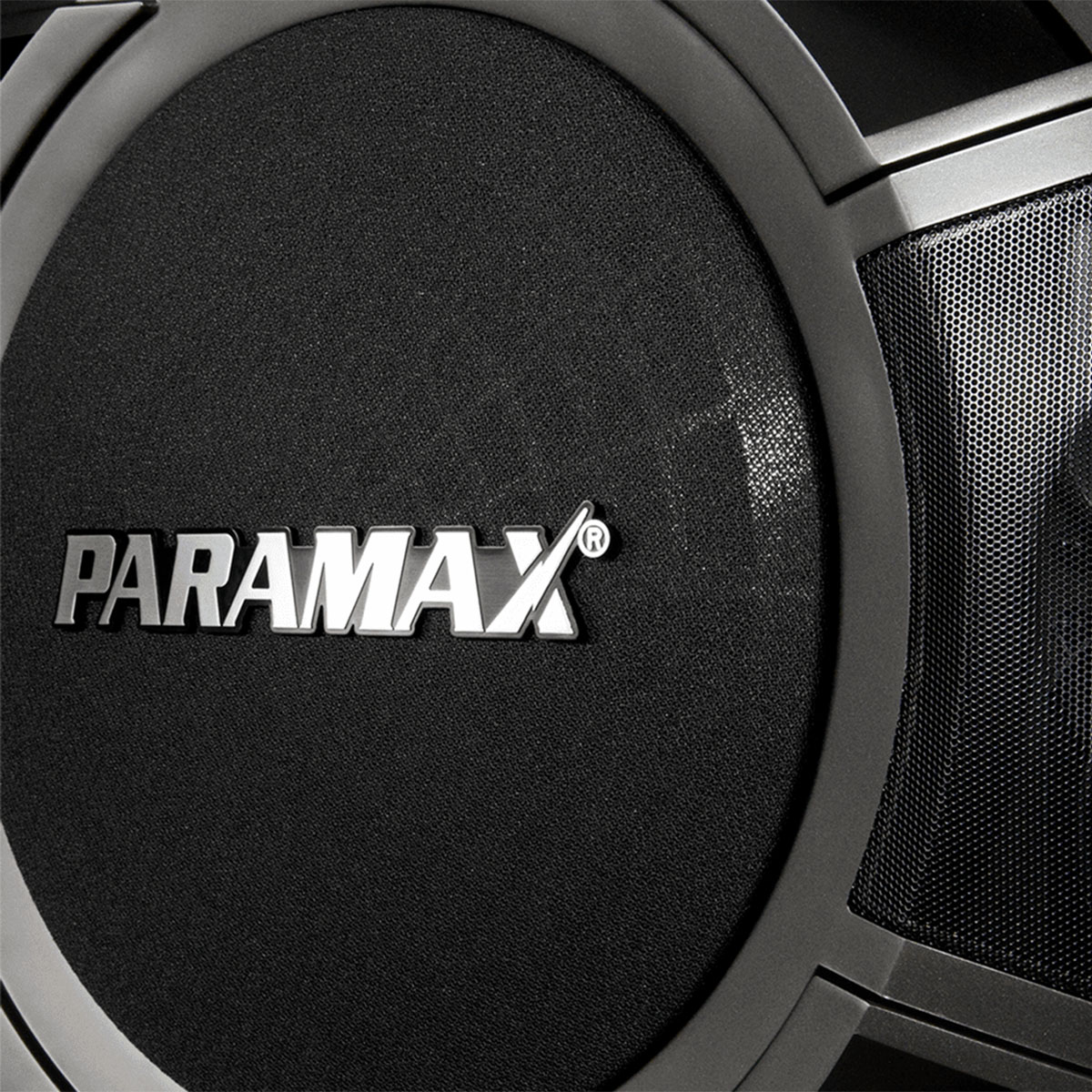 Loa karaoke Paramax P1000 New