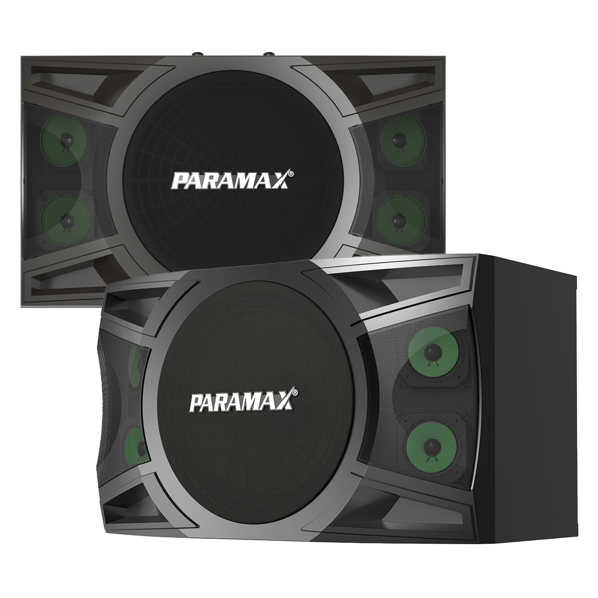 Loa karaoke Paramax P1000 New