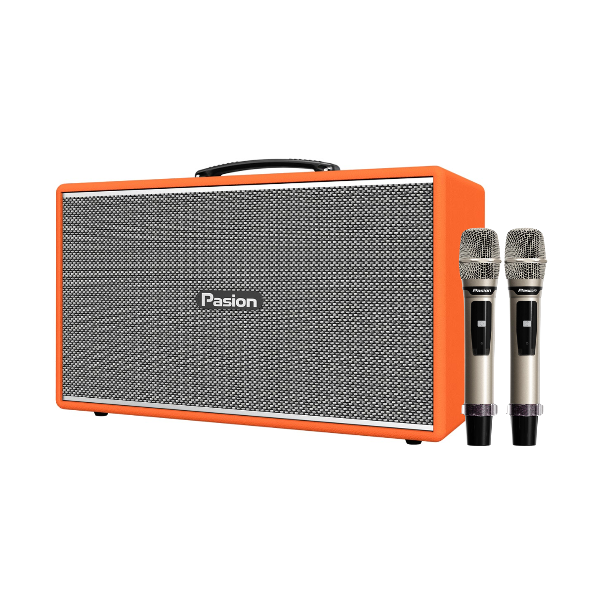 Loa Paramax Pasion Enzo