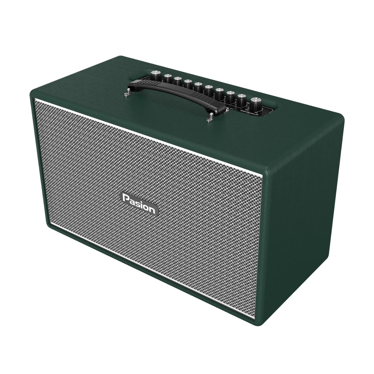 Loa Paramax Pasion Enzo