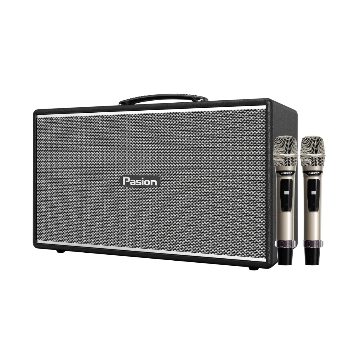 Loa Paramax Pasion Enzo