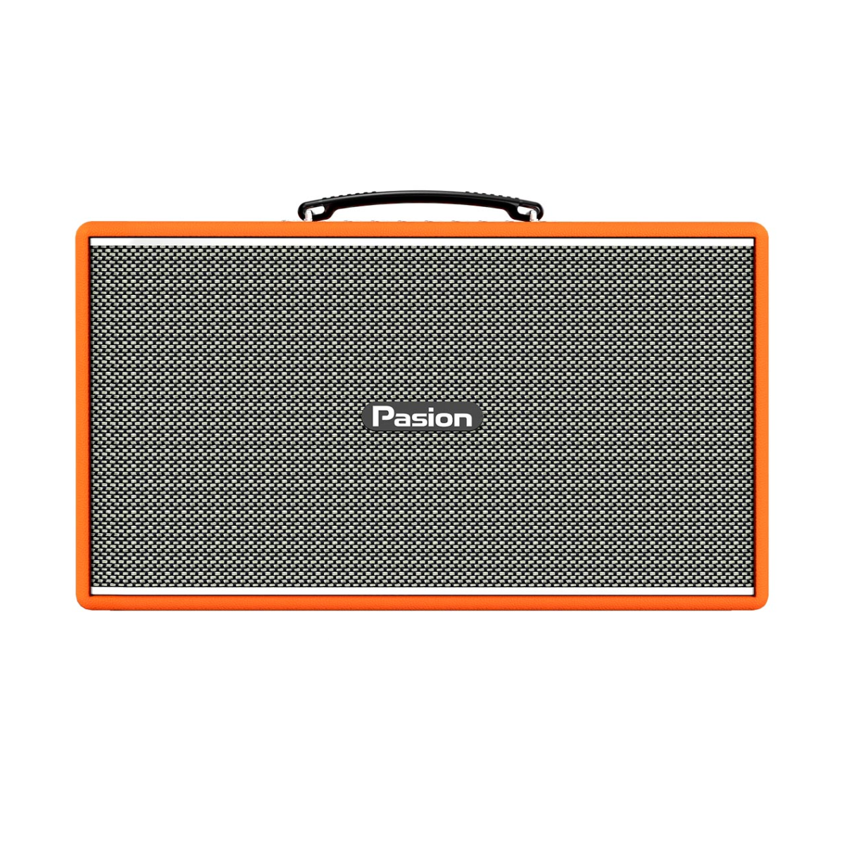 Loa Paramax Pasion Enzo