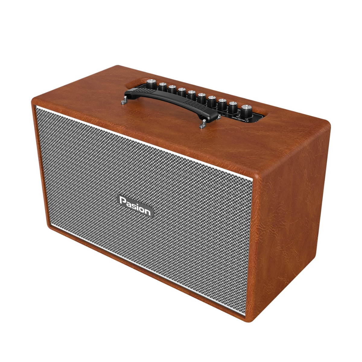 Loa Paramax Pasion Enzo