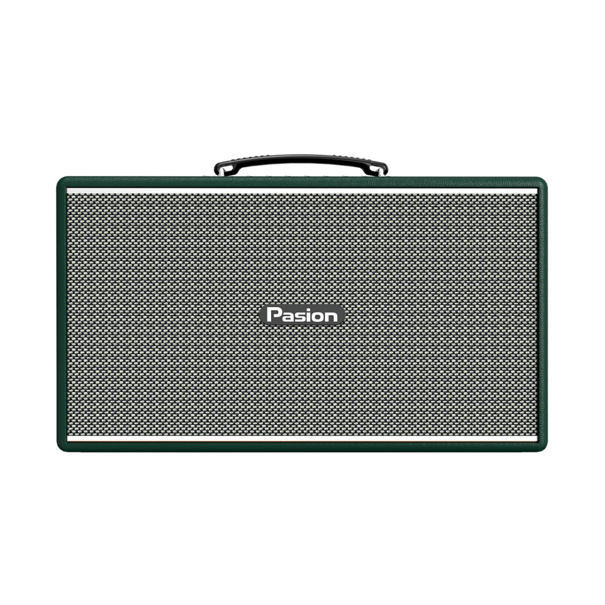 Loa Paramax Pasion Enzo