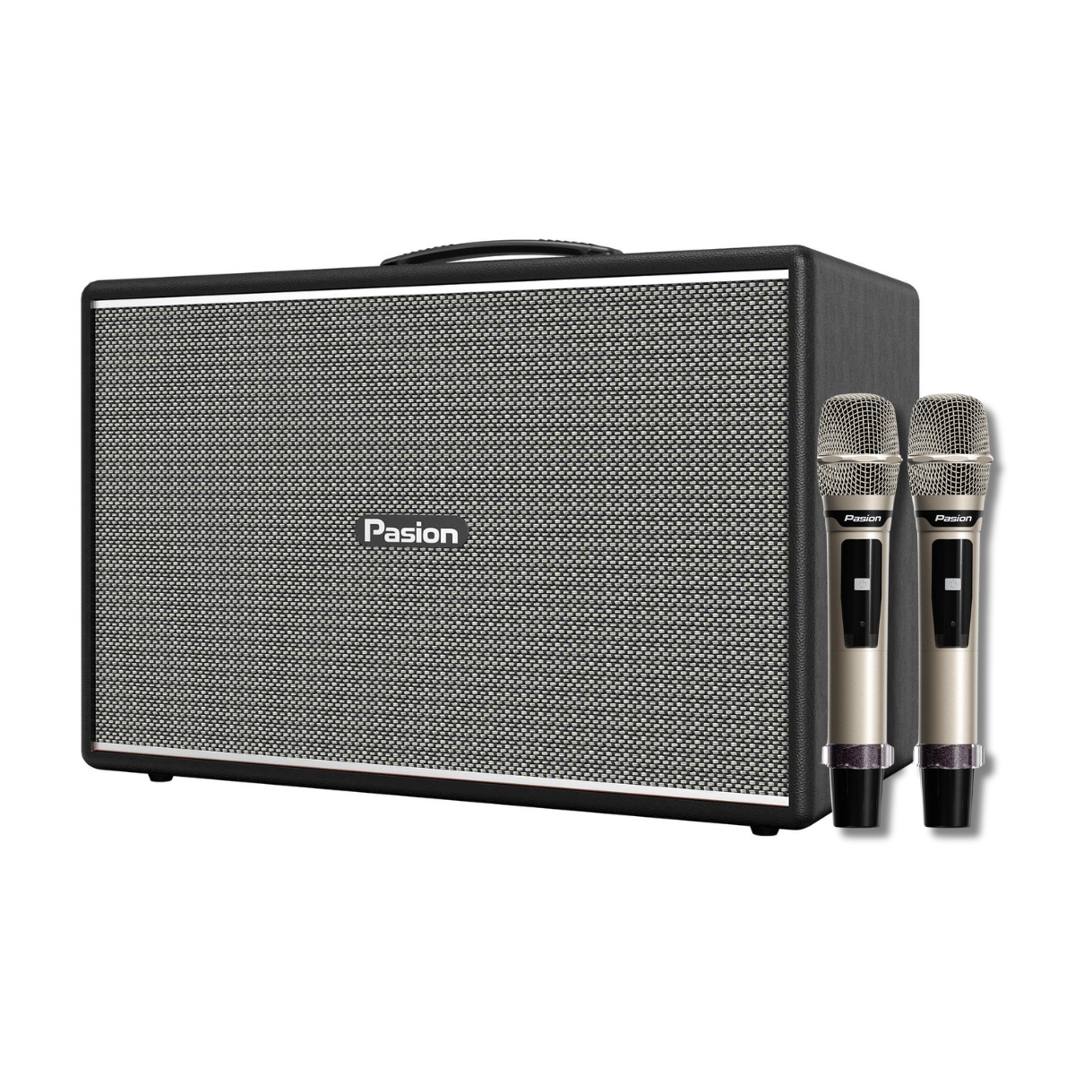 Loa Paramax Pasion Mozo