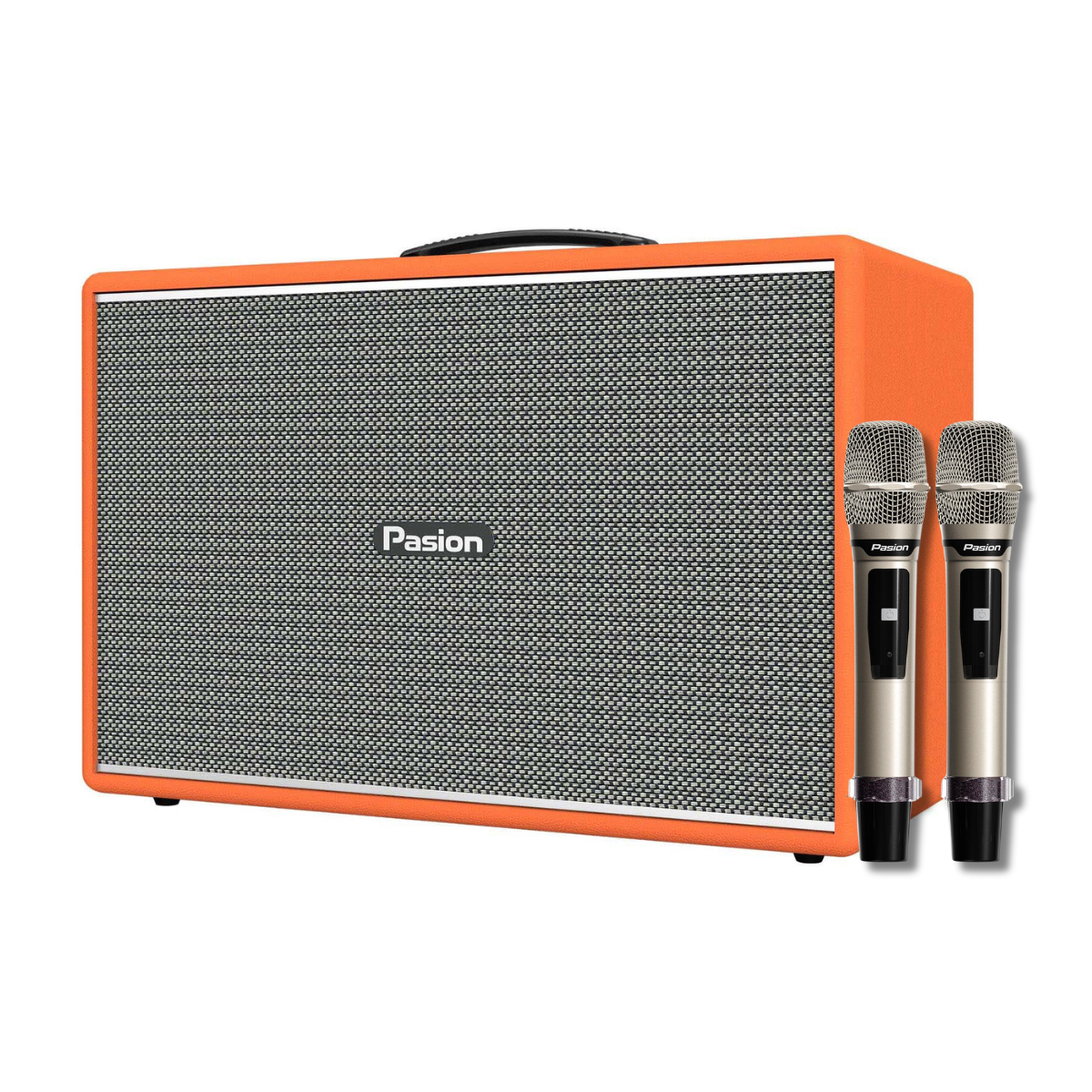 Loa Paramax Pasion Mozo