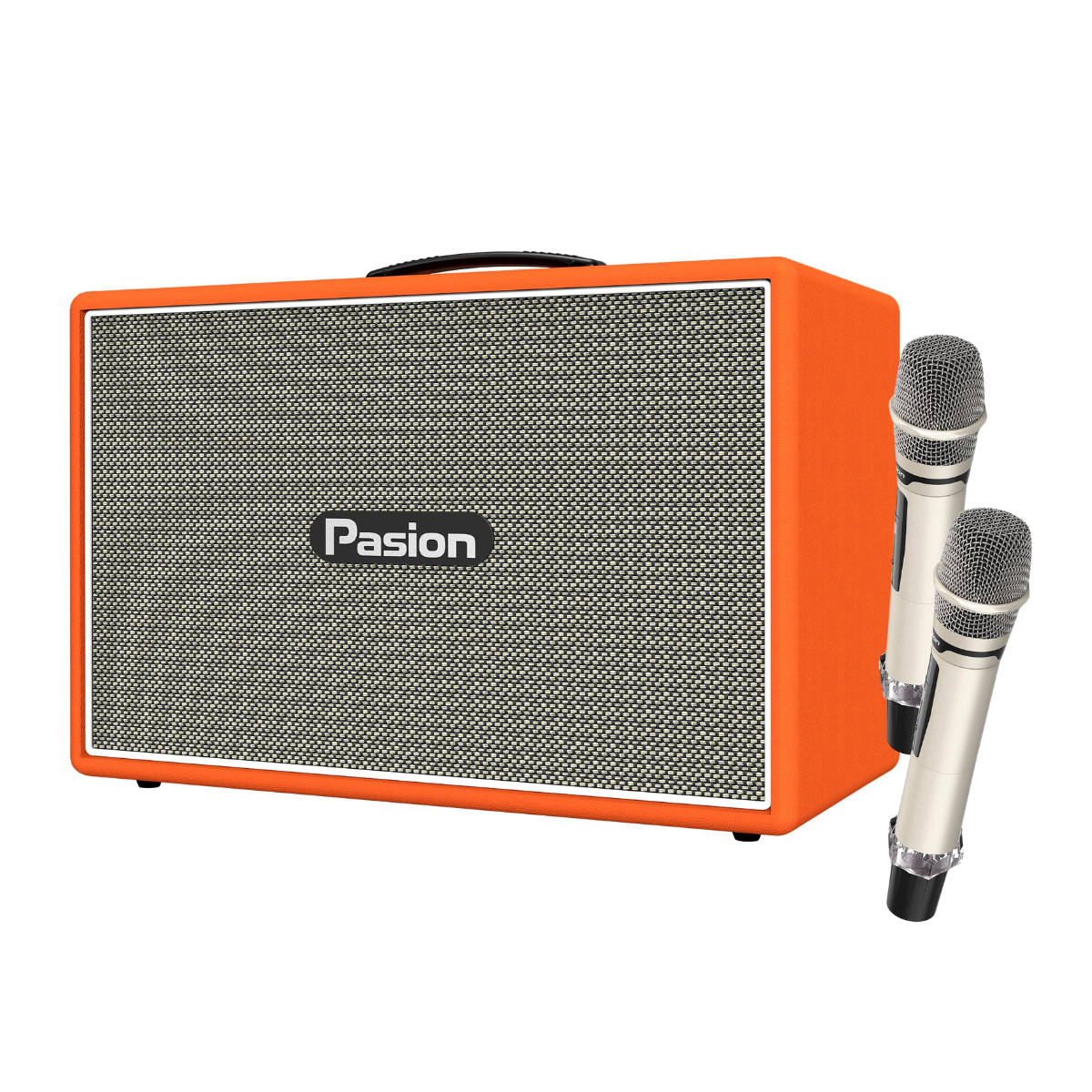 Loa Paramax Pasion Outro