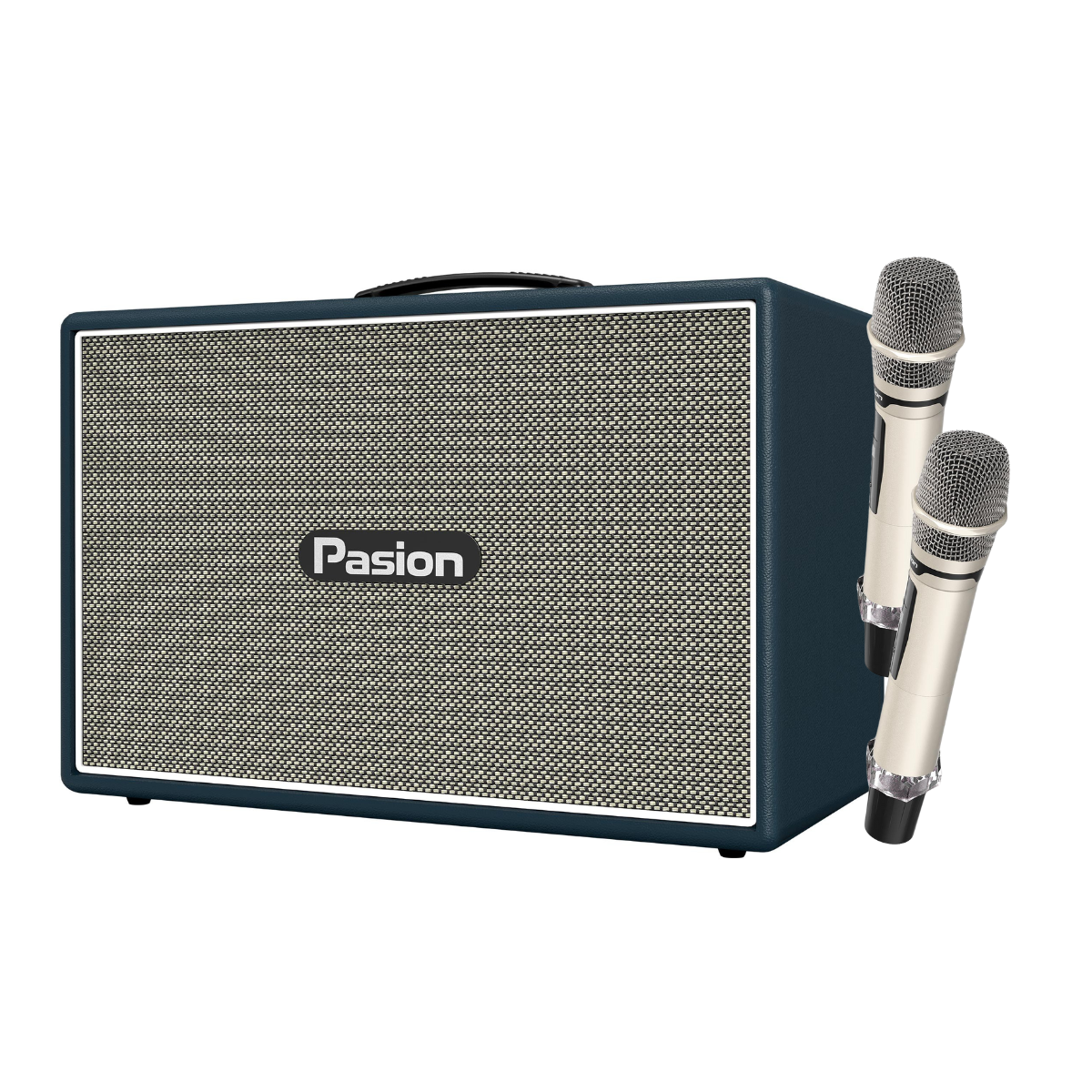 Loa Paramax Pasion Outro