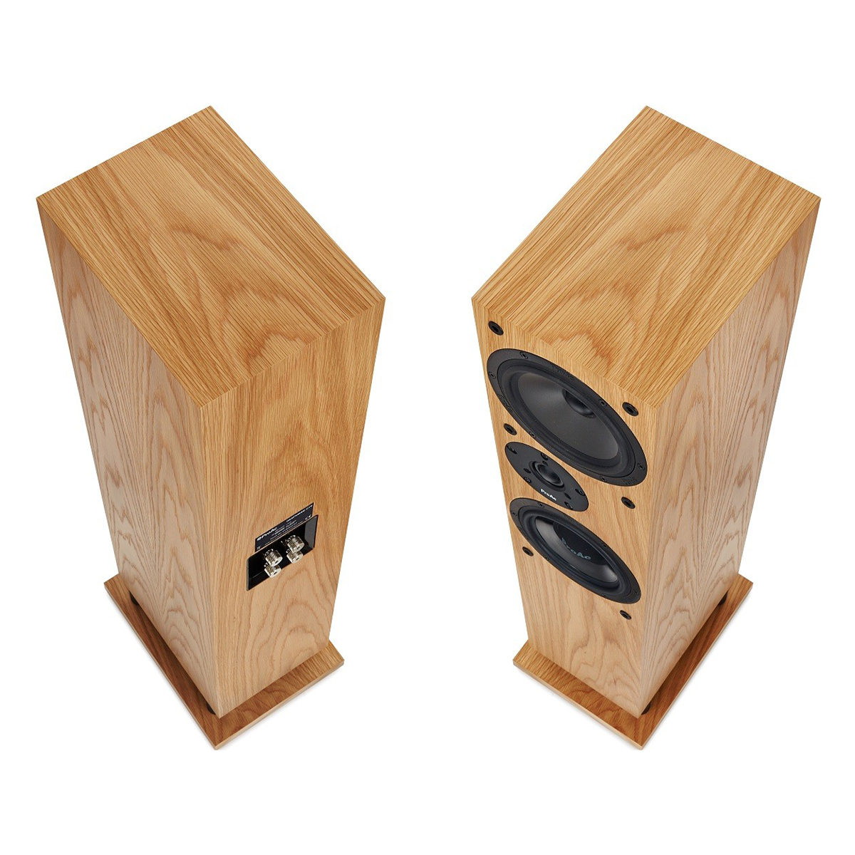 Loa ProAc Response DT8