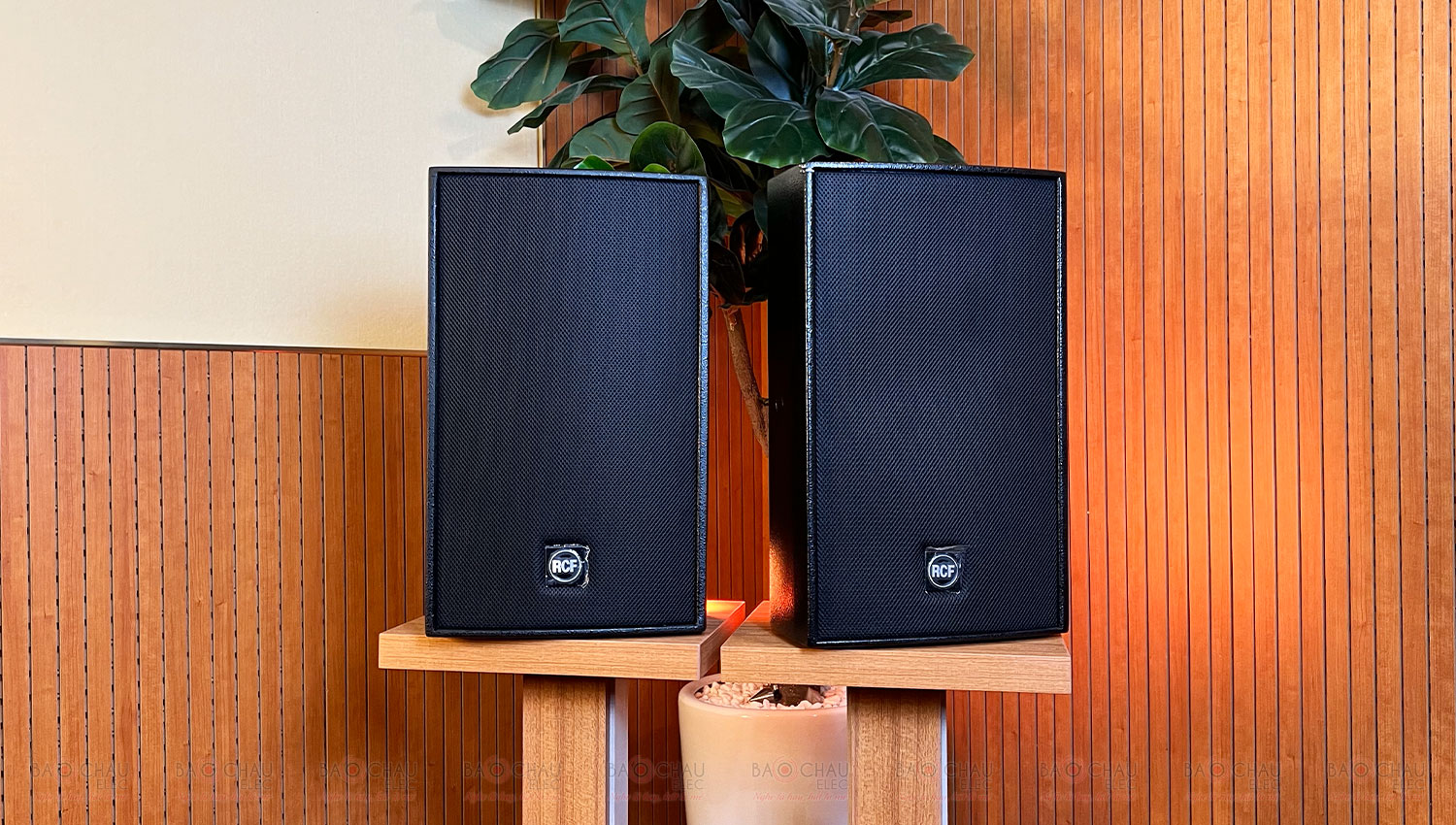 Loa RCF Acustica C 3110-126 (Full Bass 25, SX: Italy)