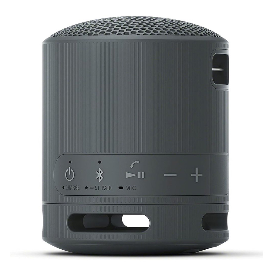 Loa Sony SRS-XB100 Black-1